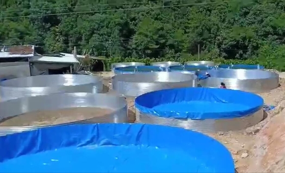 গ্যালভানাইজড শীট অ্যাকোয়ারিয়াম টারপোলিন ফিশ ট্যাঙ্ক 50000 লিটার