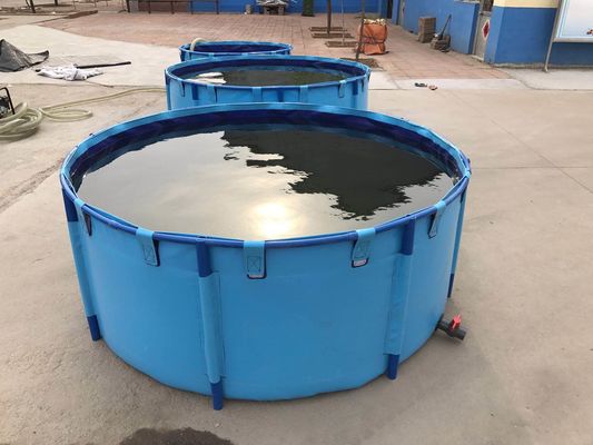 3000L 1.2MM টারপুলিন ফিশ ট্যাঙ্ক ফোল্ডেবল এবং মেটাল ফ্রেম সঙ্গে ভাঁজযোগ্য মাছ পুকুর প্লাস্টিক ট্যাংক
