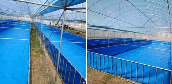 5000L ভাঁজযোগ্য 0.9 মিমি পিভিসি টারপোলিন ফিশ ট্যাঙ্ক ফিশ ফার্ম ফিশ পুকুরের জন্য প্লাস্টিকের ট্যাঙ্ক ডাই ফিশ পুকুর