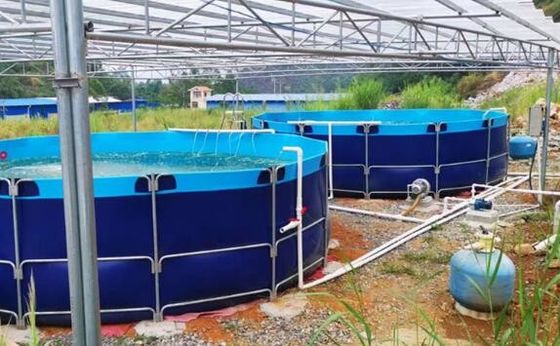 50000L নমনীয় ভাঁজযোগ্য 0.9 মিমি পিভিসি টারপোলিন ফিশ ট্যাঙ্ক আউটডোর ফিশ পুকুর ডাই ফিশ পুকুর