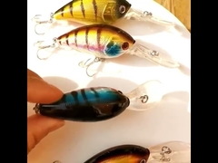 প্লাস্টিকের প্রলোভন বিস্তৃত জিহ্বা সমুদ্র মাছ ধরার টোপ