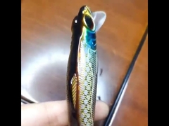 প্লাস্টিকের প্রলোভন সাগর মাছধরা দূরবর্তী কঠিন টোপ নিক্ষেপ