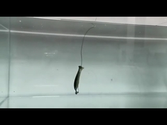 পিভিসি লচ নরম টোপ সিলিকন জাল নরম টোপ মাছ ধরার টোপ