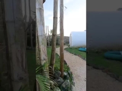 হোটেল রুম আউটডোর হাউস inflatable বুদ্বুদ তাঁবু